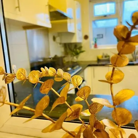 Beautiful 3Bd Family Home With Huge Private Graden Londen Buitenkant foto