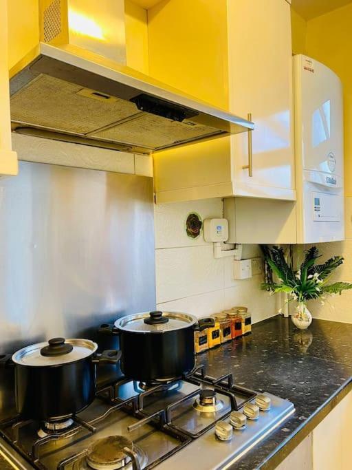 Beautiful 3bd Family With Huge Private Graden Londen